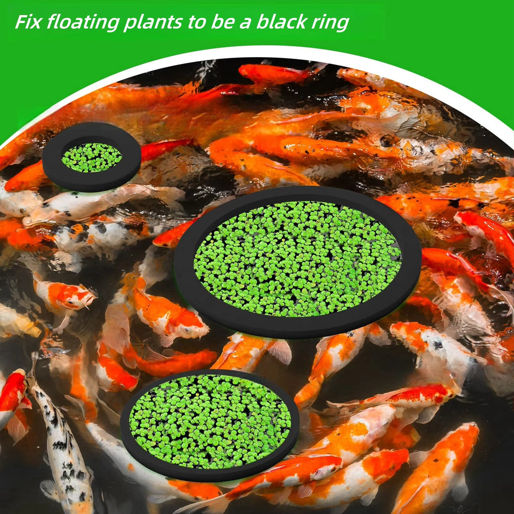 AQAURIUM FEEDING RING 5PCS