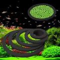 AQAURIUM FEEDING RING 5PCS