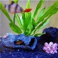 RESIN CAVE DECORATION FOR AQUARIUMS