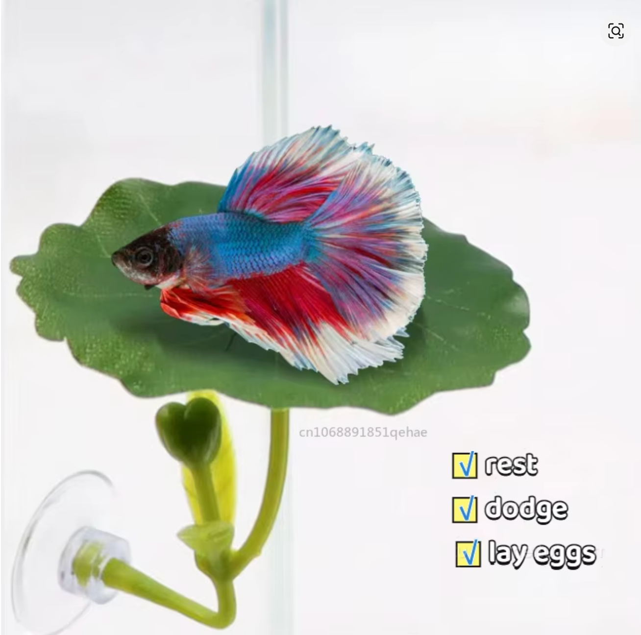BETTA LEAF HAMMOCK AQAURIUMS LOTUS LEAF