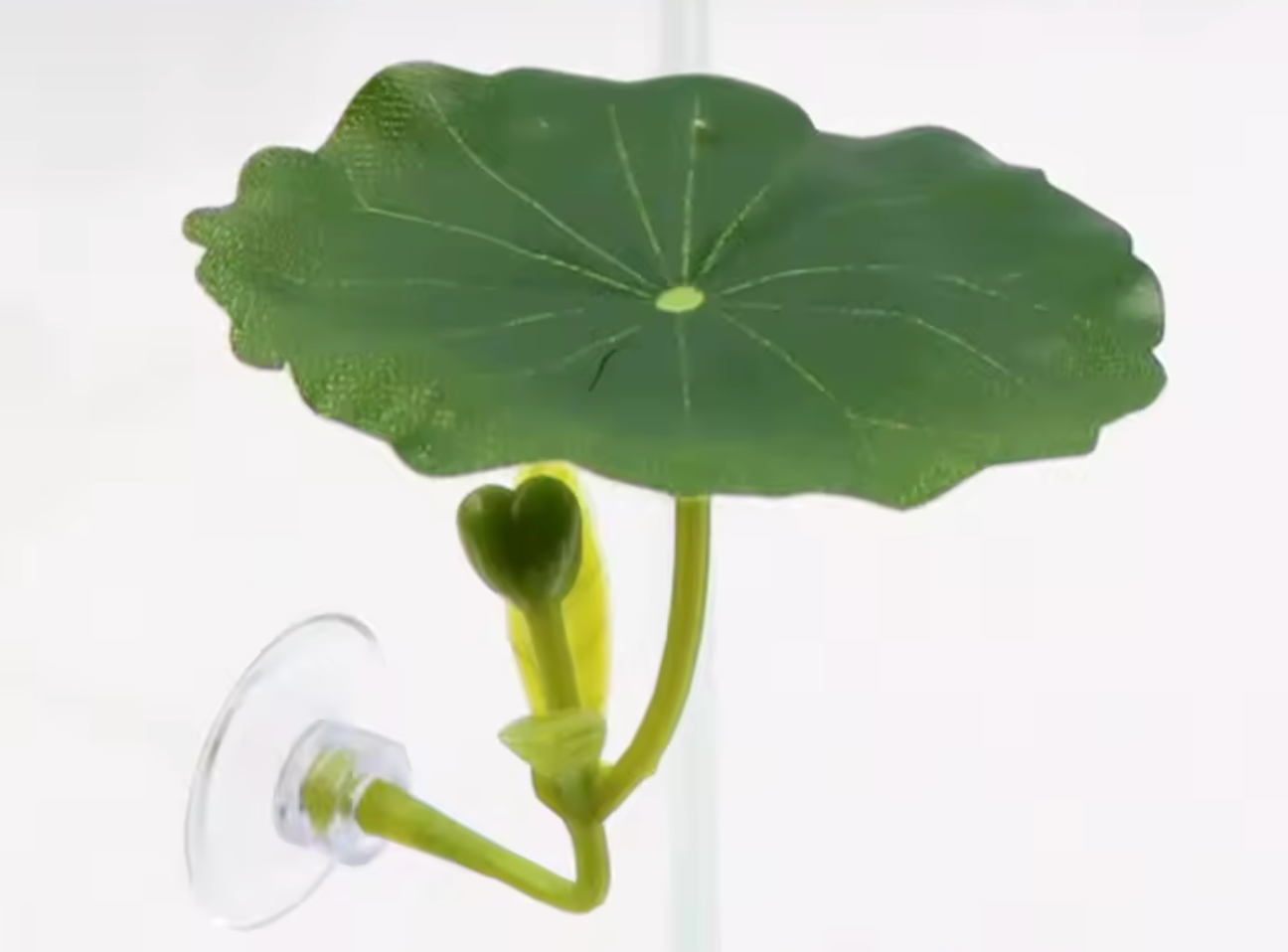 BETTA LEAF HAMMOCK AQAURIUMS LOTUS LEAF