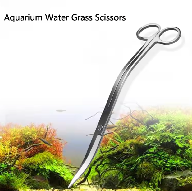 24CM AQUARIUM SCISSORS
