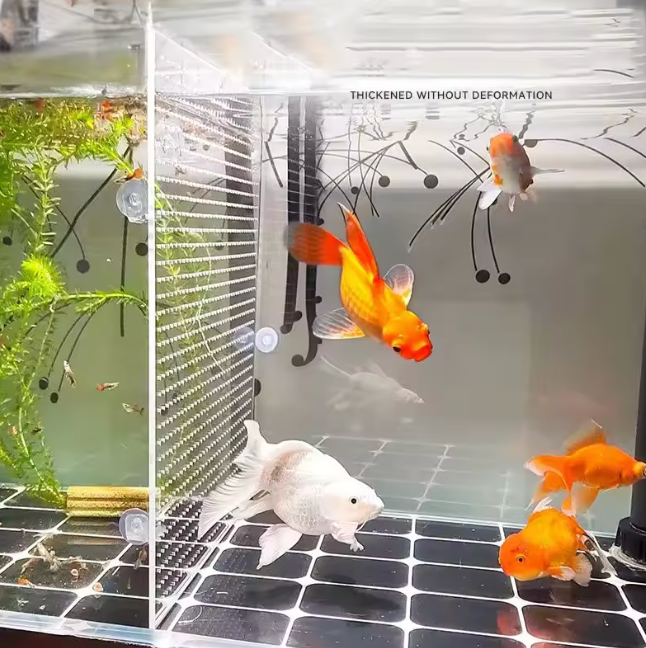 FISH TANK DIVIDERS WITH SUCTION CUP