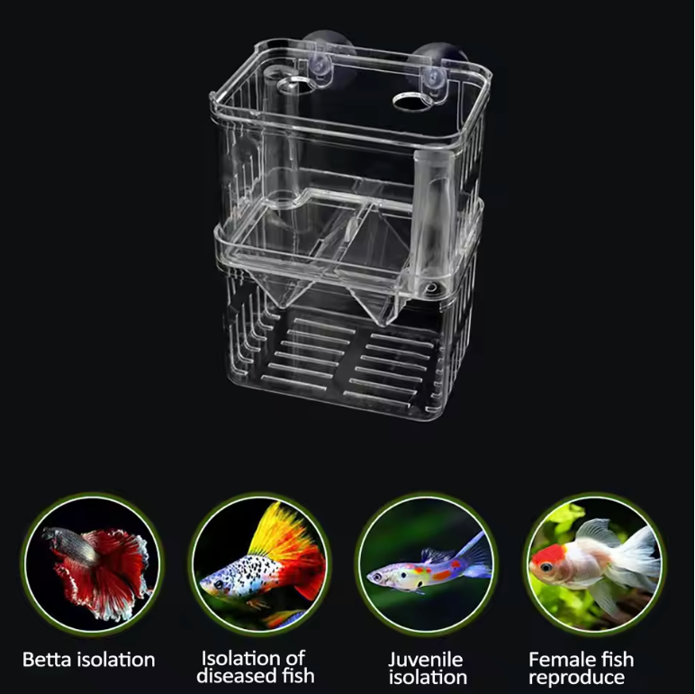 AQUARIUM BREEDING/ISOLATION BOX HANG ON