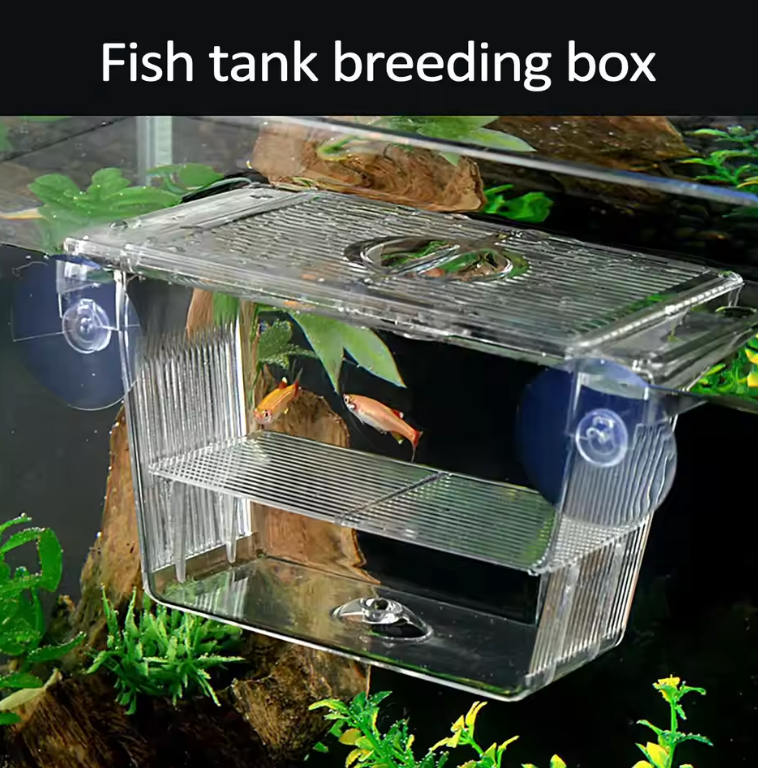 AQUARIUM BREEDING/ISOLATION BOX HANG ON