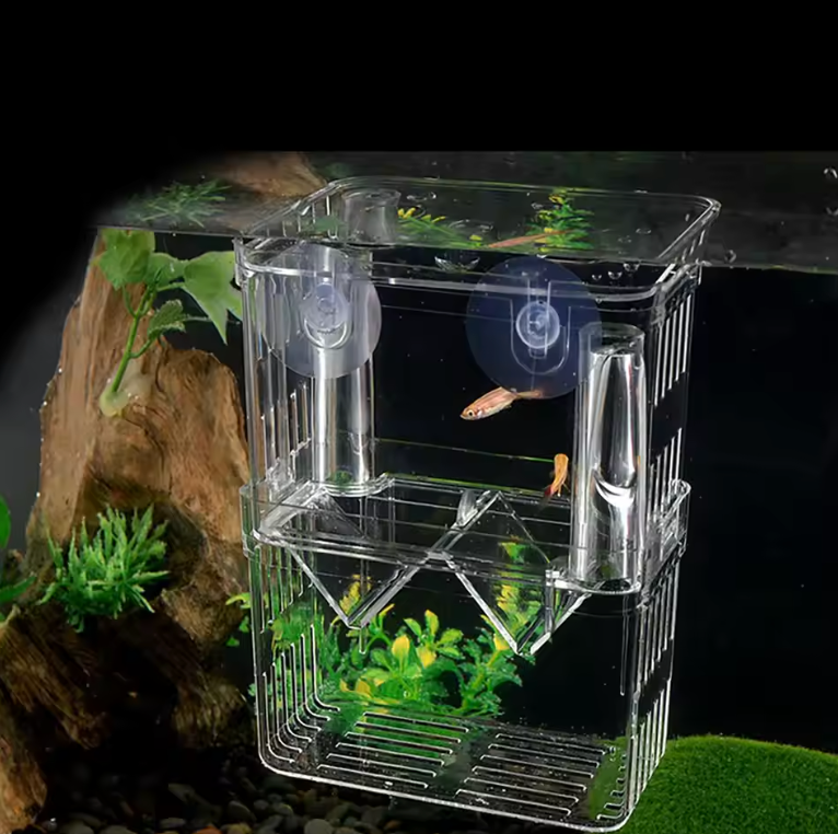 AQUARIUM BREEDING/ISOLATION BOX HANG ON