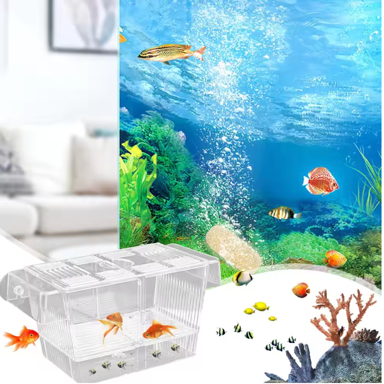 AQUARIUM BREEDING/ISOLATION BOX HANG ON